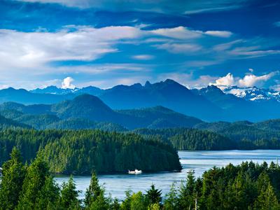 Tofino