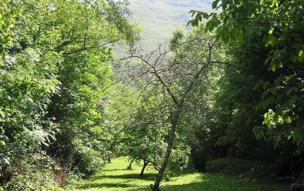 Pemandangan luar Foto