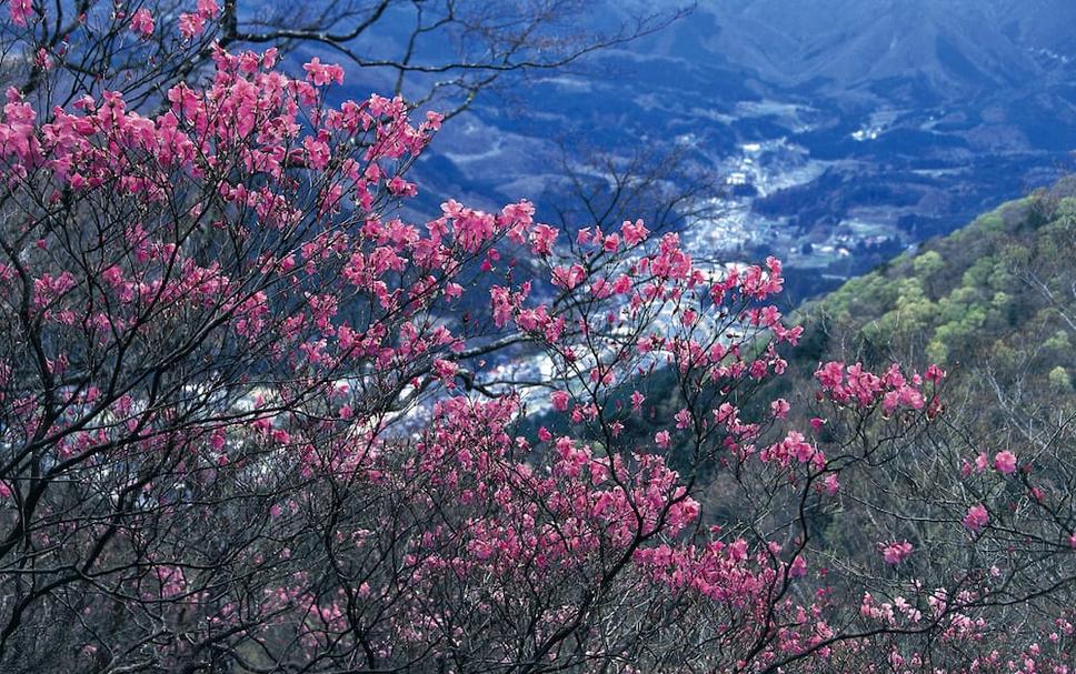 Pemandangan luar Foto