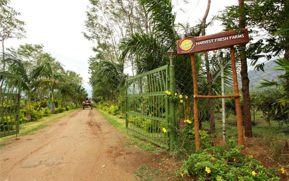 Pemandangan luar Foto