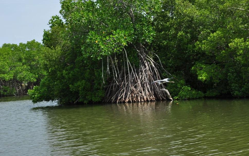 Pemandangan luar Foto