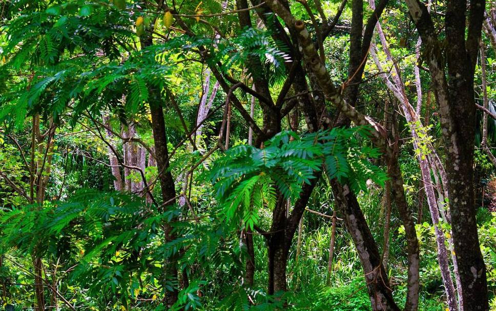 Pemandangan luar Foto