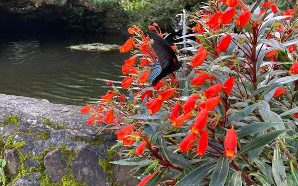 Pemandangan luar Foto