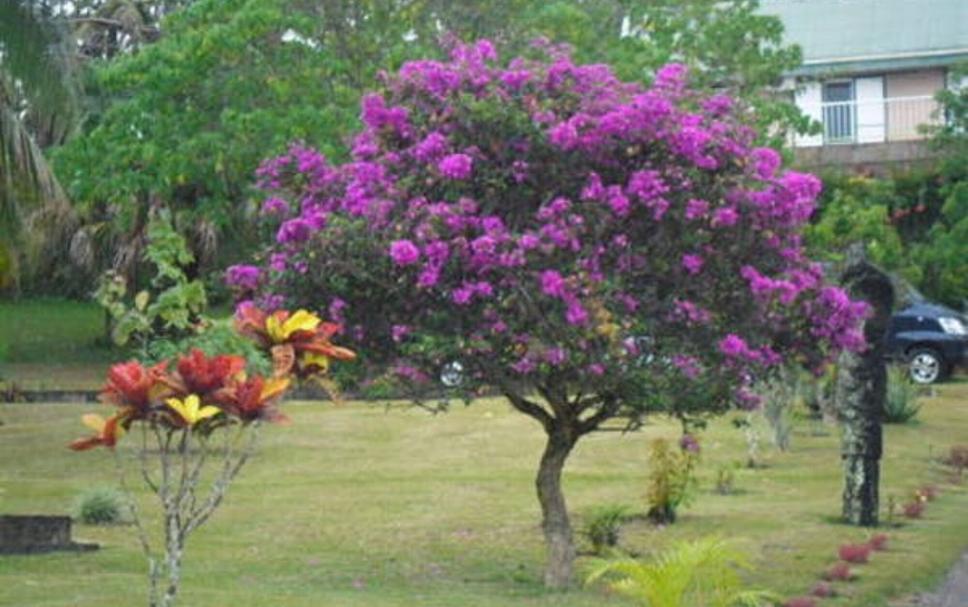 Pemandangan luar Foto