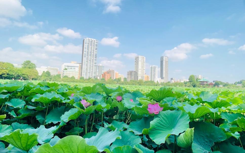 Pemandangan luar Foto