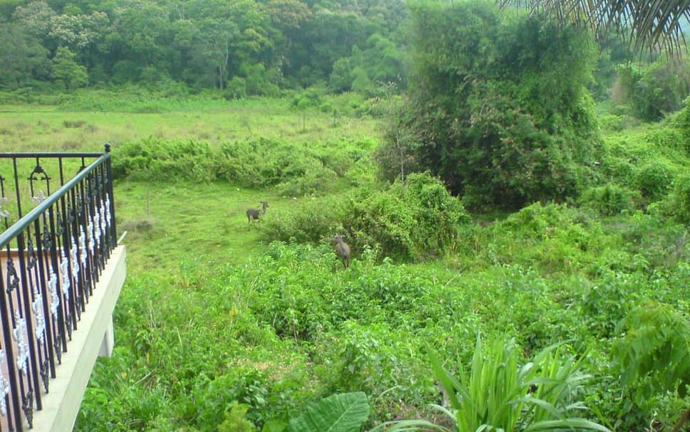 Pemandangan luar Foto