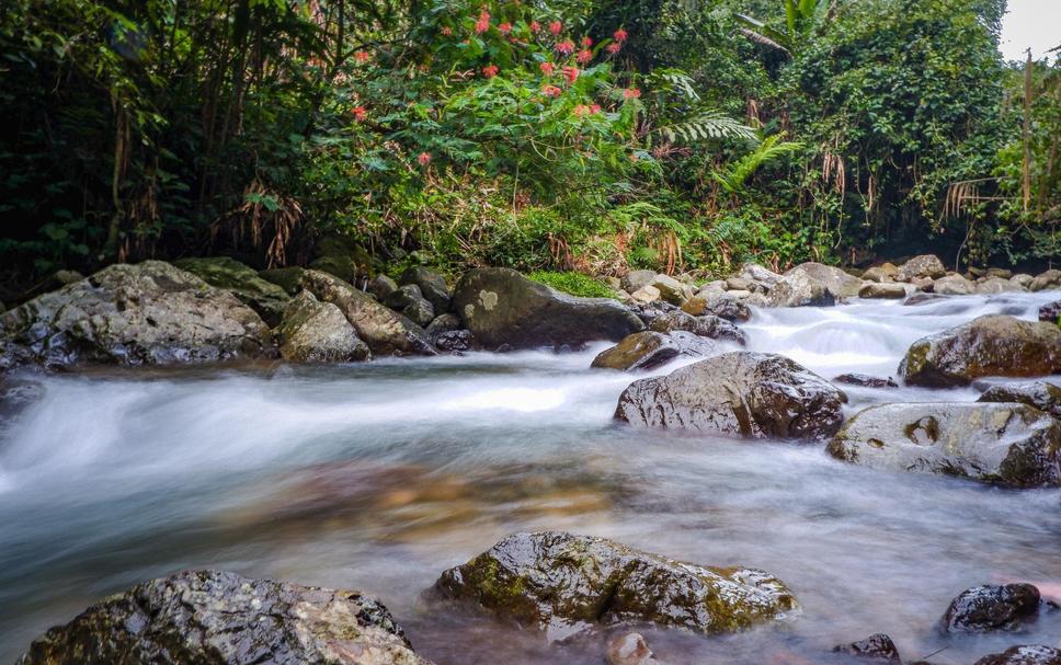 Pemandangan luar Foto