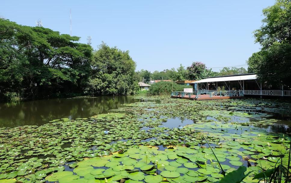 Pemandangan luar Foto